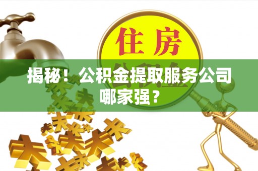 安陆揭秘！公积金提取服务公司哪家强？